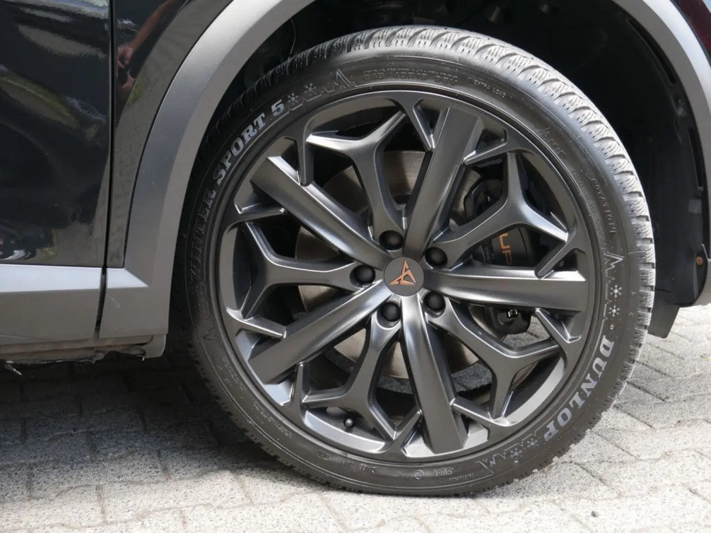 Formentor 2.0 TSI VZ Tribe Edition MATRIX PANO