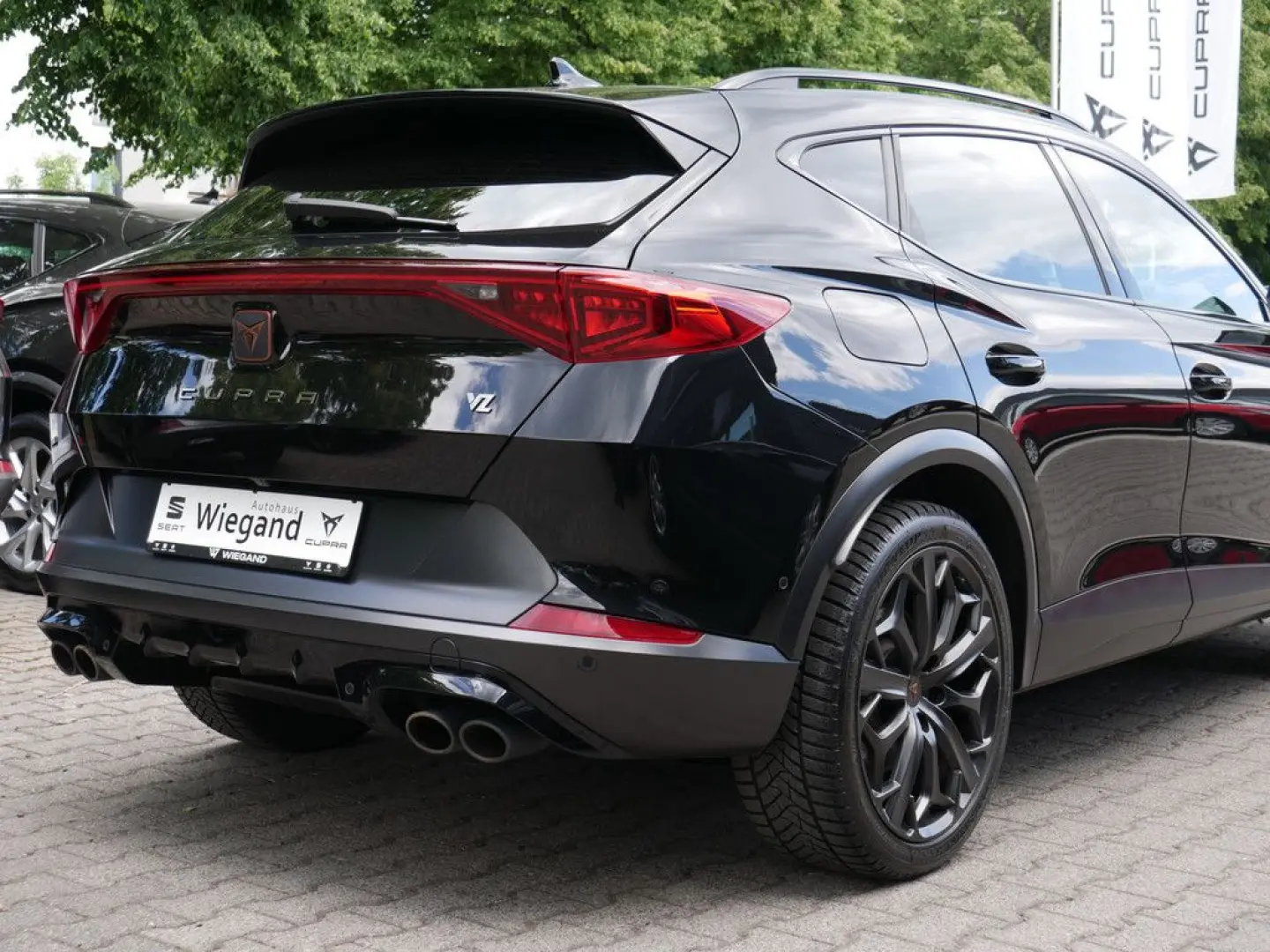 Formentor 2.0 TSI VZ Tribe Edition MATRIX PANO