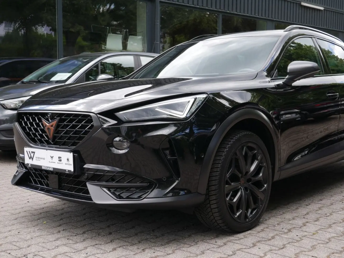 Formentor 2.0 TSI VZ Tribe Edition MATRIX PANO