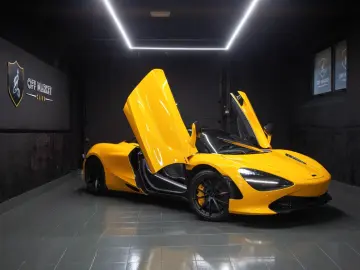 Spider   Full Carbon   All maintenance