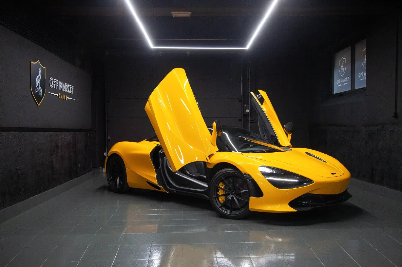 Spider   Full Carbon   All maintenance