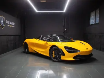 Spider   Full Carbon   All maintenance