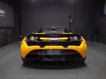 Spider   Full Carbon   All maintenance
