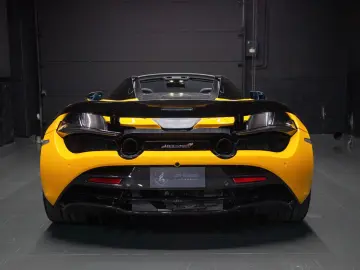 Spider   Full Carbon   All maintenance
