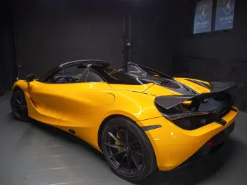 Spider   Full Carbon   All maintenance