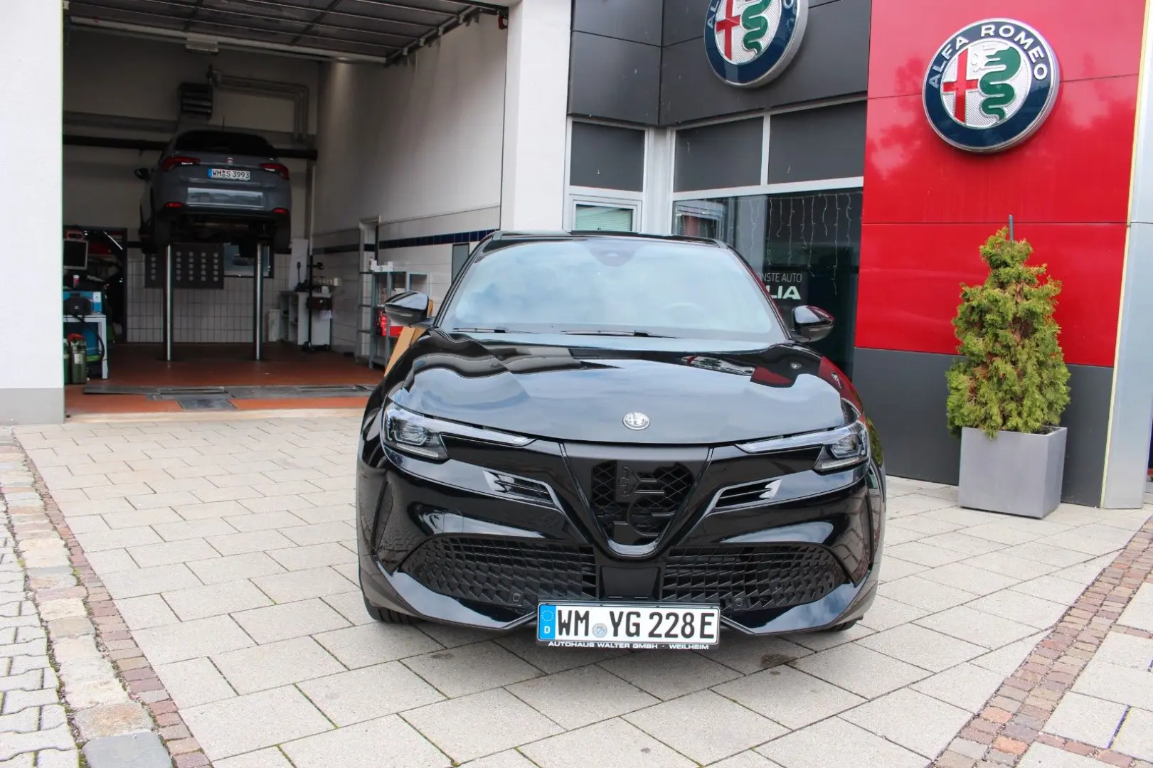 Junior Elettrica  Speciale