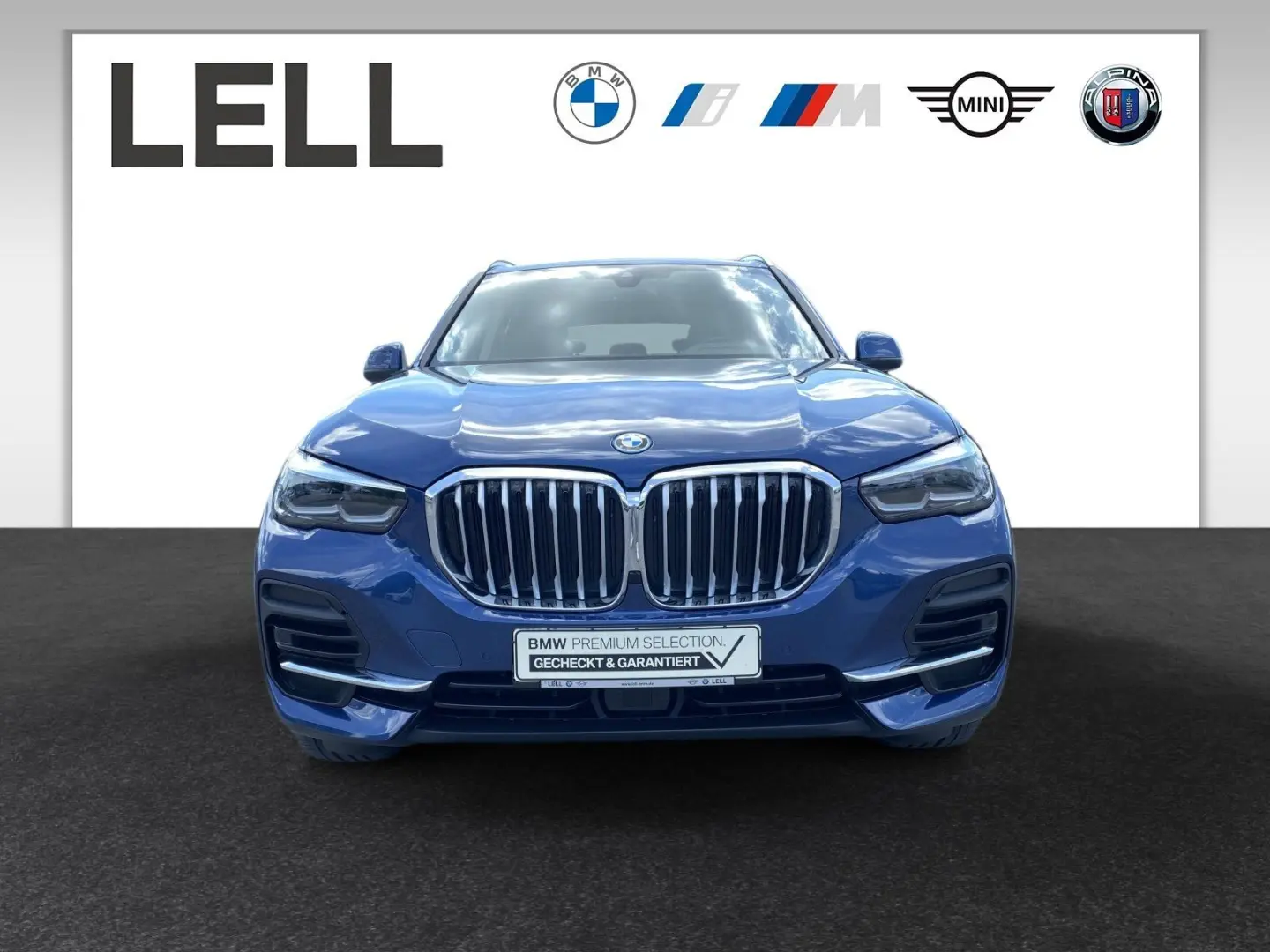 X5 xDrive45e HiFi DAB WLAN Parkassistent Shz
