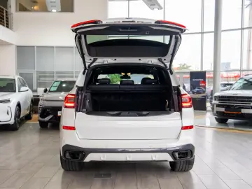 BMW X5 G05 xDrive 45e M Sport