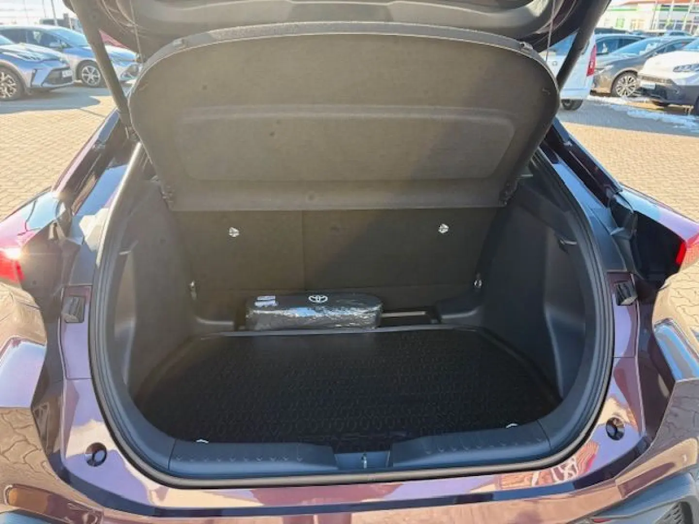 C-HR 1.8 Hybrid Team Deutschland Technik
