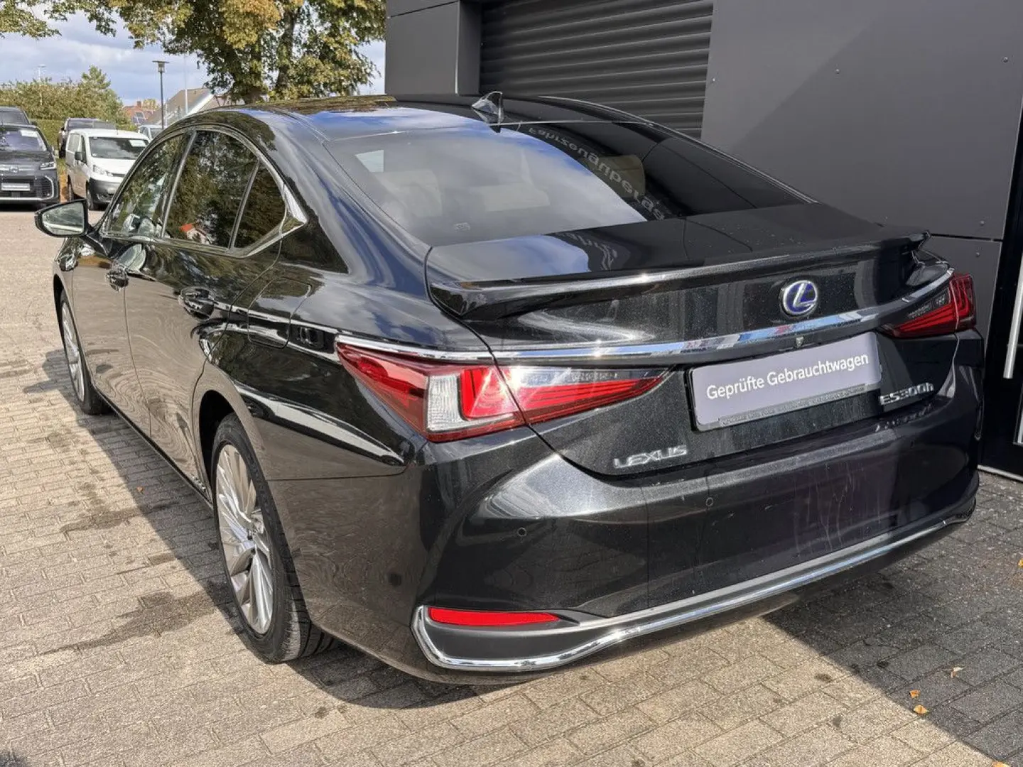ES 300 h Luxury Line SHZ ACC HUD MATRIX-LED 360