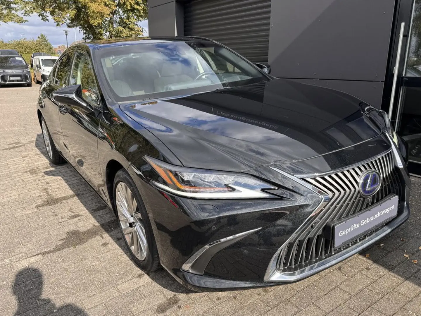 ES 300 h Luxury Line SHZ ACC HUD MATRIX-LED 360