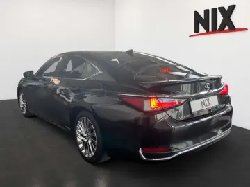ES 300 h 2.5 Hybrid Luxury Line LED HUD
