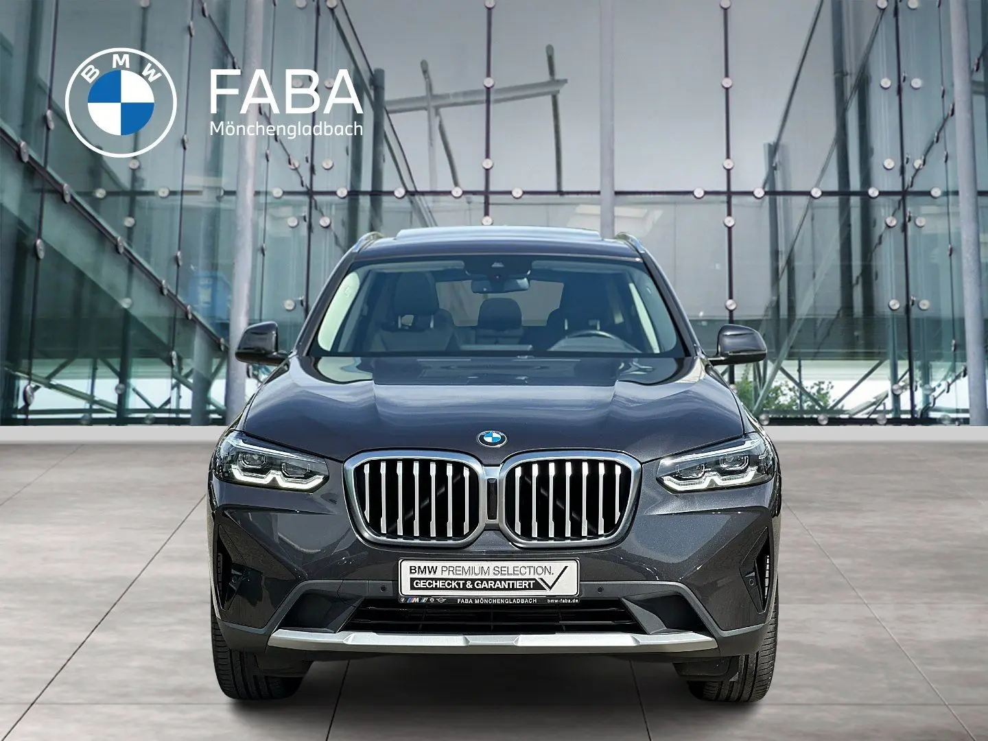 X3 xDrive20i HiFi DAB LED WLAN Pano.Dach