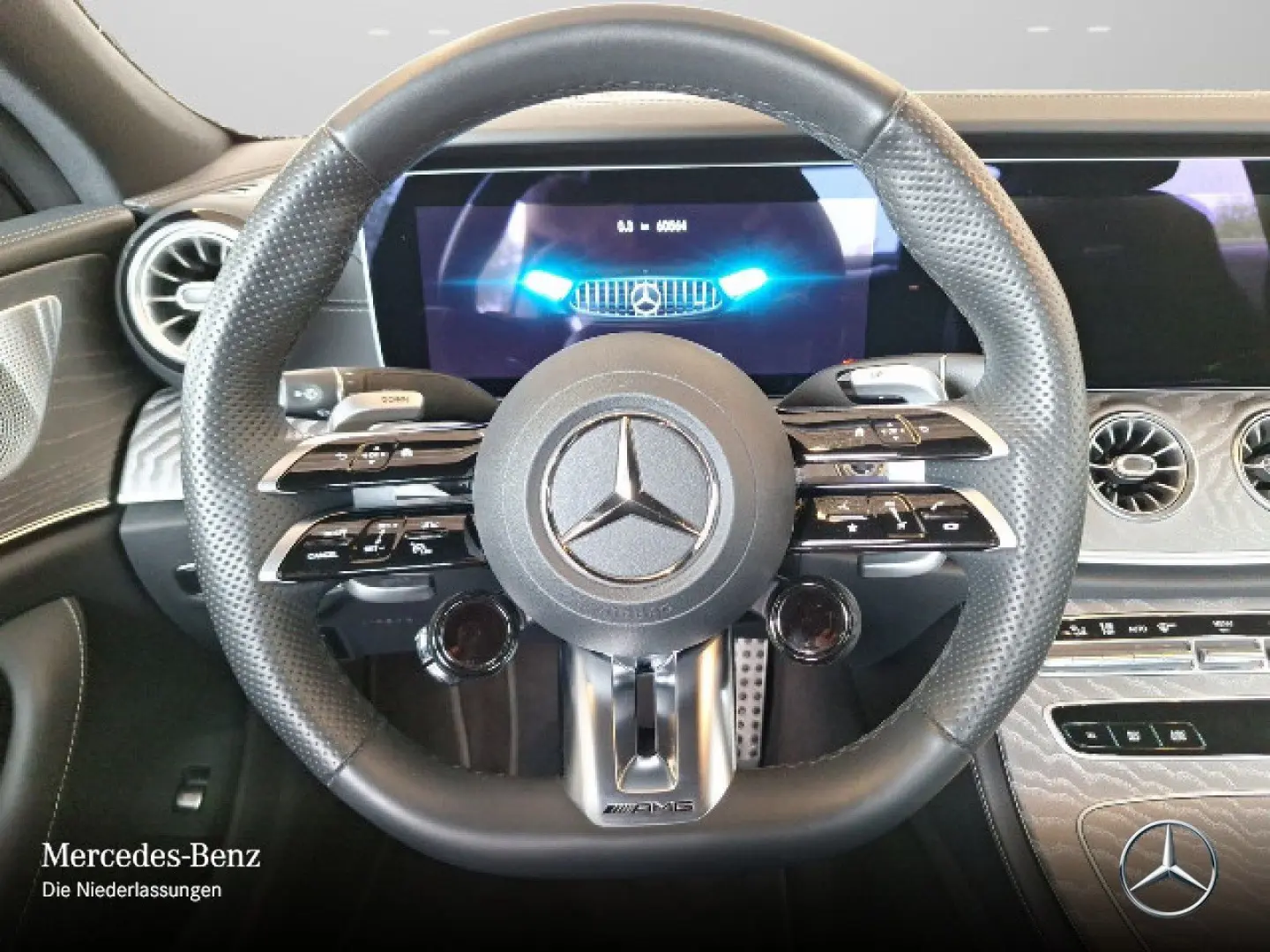 CLS 53 4M  AMG PERF.-ABG NAPPA SHD AHK BURM AHK