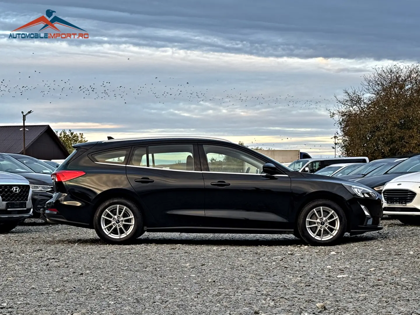 FORD Focus Eco Blue Cool&Connect