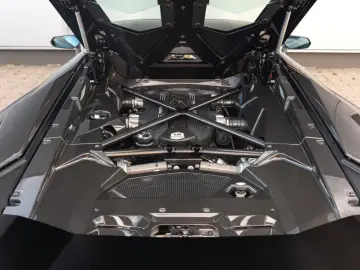 Lamborghini Aventador S Roadster Carbon Lift Park Assist DAB