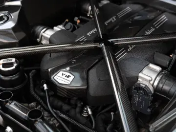 Lamborghini Aventador S Roadster Carbon Lift Park Assist DAB
