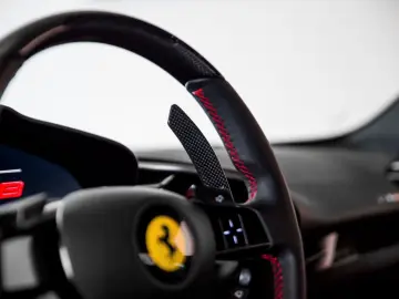 296 GTB ~Ferrari Munsterhuis~
