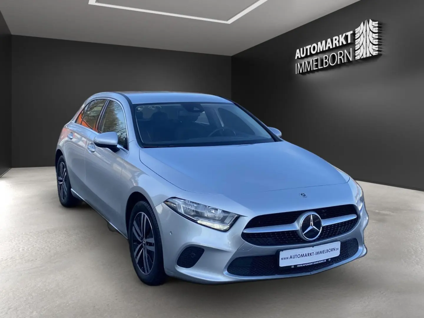 A 250 e AHK LED Kamera DigTacho Leder Parkassist