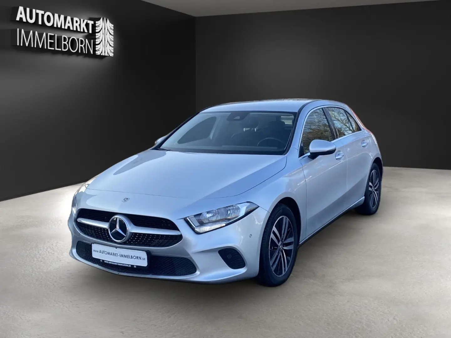 A 250 e AHK LED Kamera DigTacho Leder Parkassist