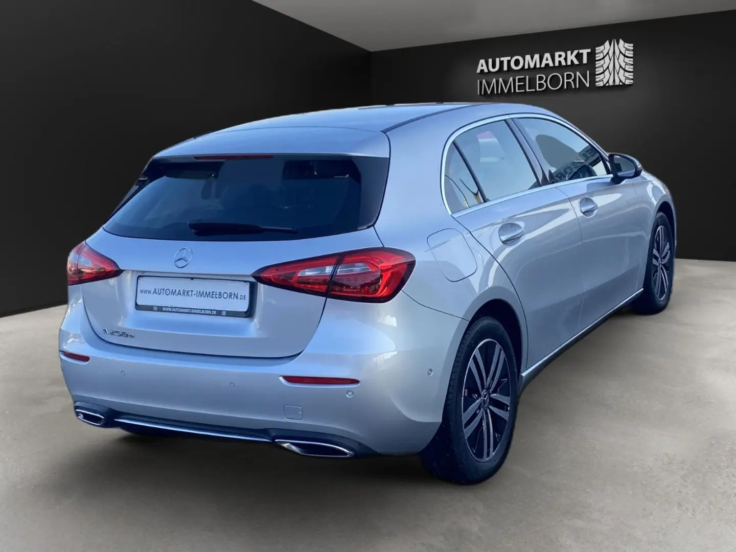 A 250 e AHK LED Kamera DigTacho Leder Parkassist