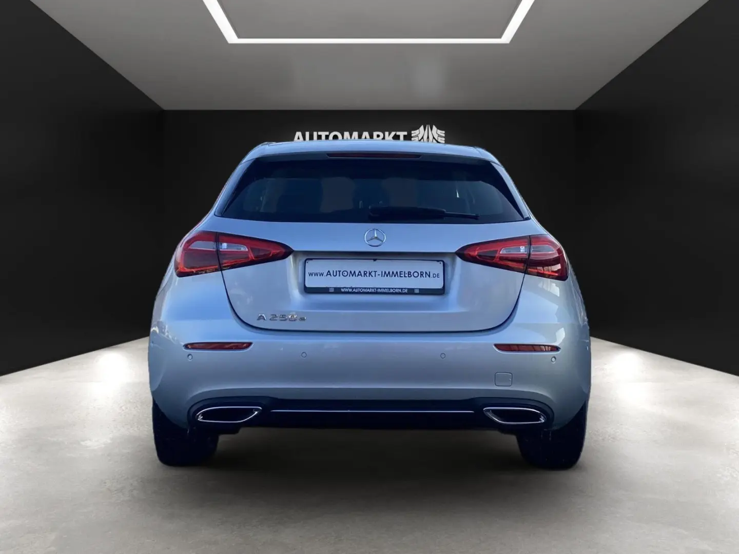 A 250 e AHK LED Kamera DigTacho Leder Parkassist