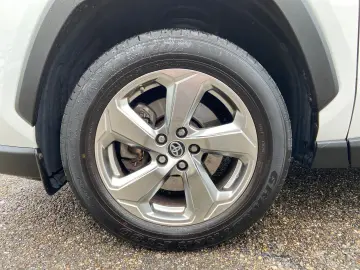 Toyota RAV 4 Hybrid Team Deutschland LED CAM