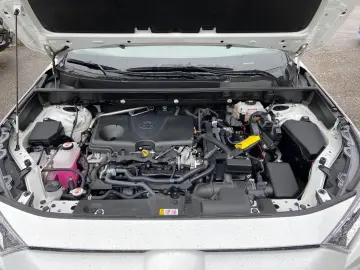 Toyota RAV 4 Hybrid Team Deutschland LED CAM
