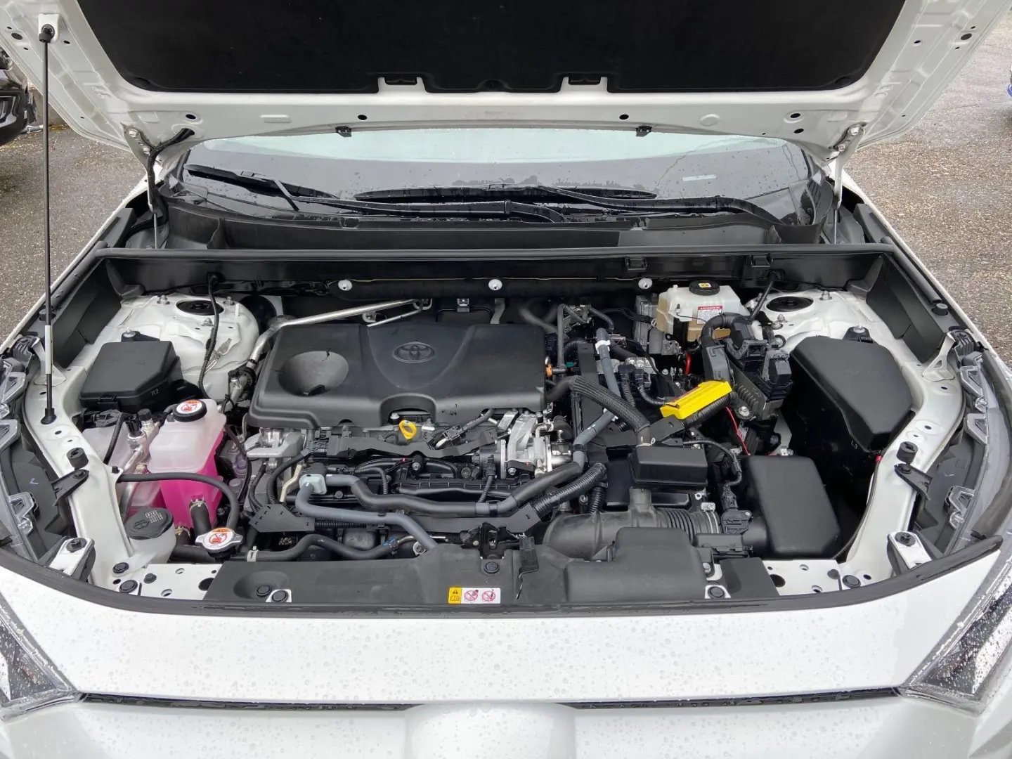 Toyota RAV 4 Hybrid Team Deutschland LED CAM