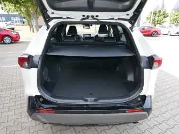 RAV 4 Hybrid 4x4 Style Selection AWD LED ACC