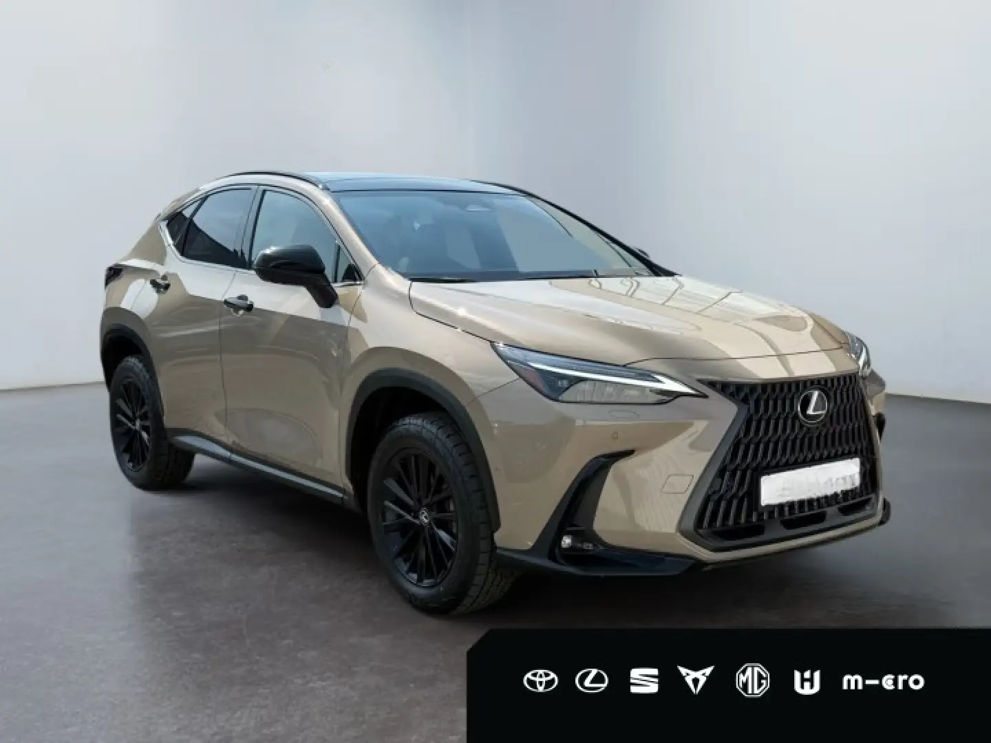 LEXUS NX 350h E-FOUR LED Panorama 360 HUD Navi