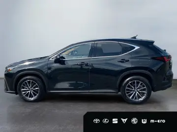 LEXUS NX 350h Executive Line HUD PANORAMA 360  Leder