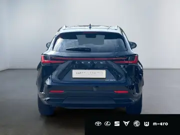 LEXUS NX 350h Executive Line HUD PANORAMA 360  Leder