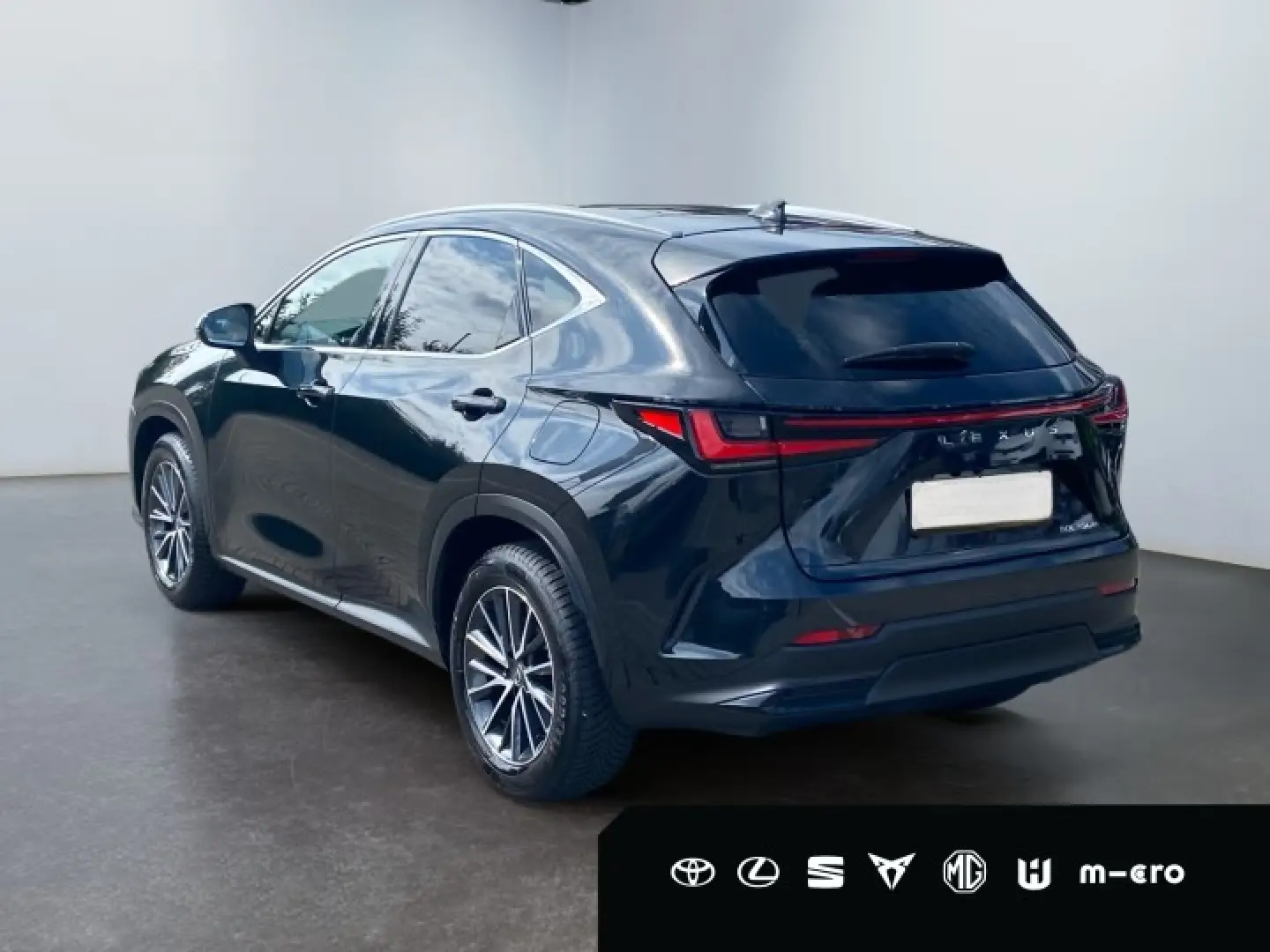 LEXUS NX 350h Executive Line HUD PANORAMA 360  Leder