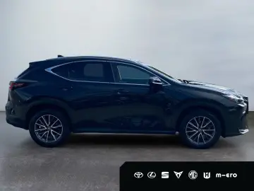 LEXUS NX 350h Executive Line HUD PANORAMA 360  Leder