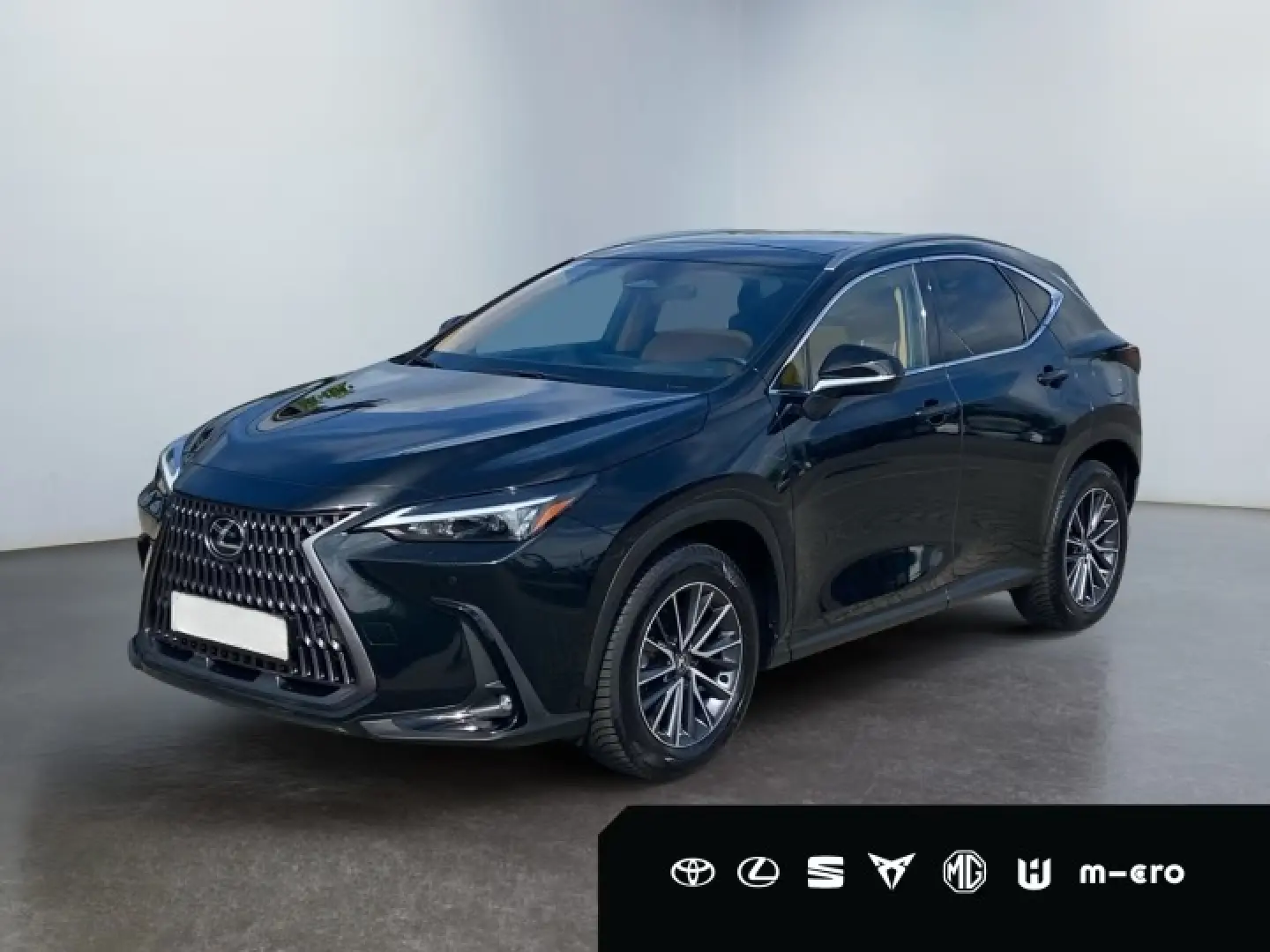 LEXUS NX 350h Executive Line HUD PANORAMA 360  Leder