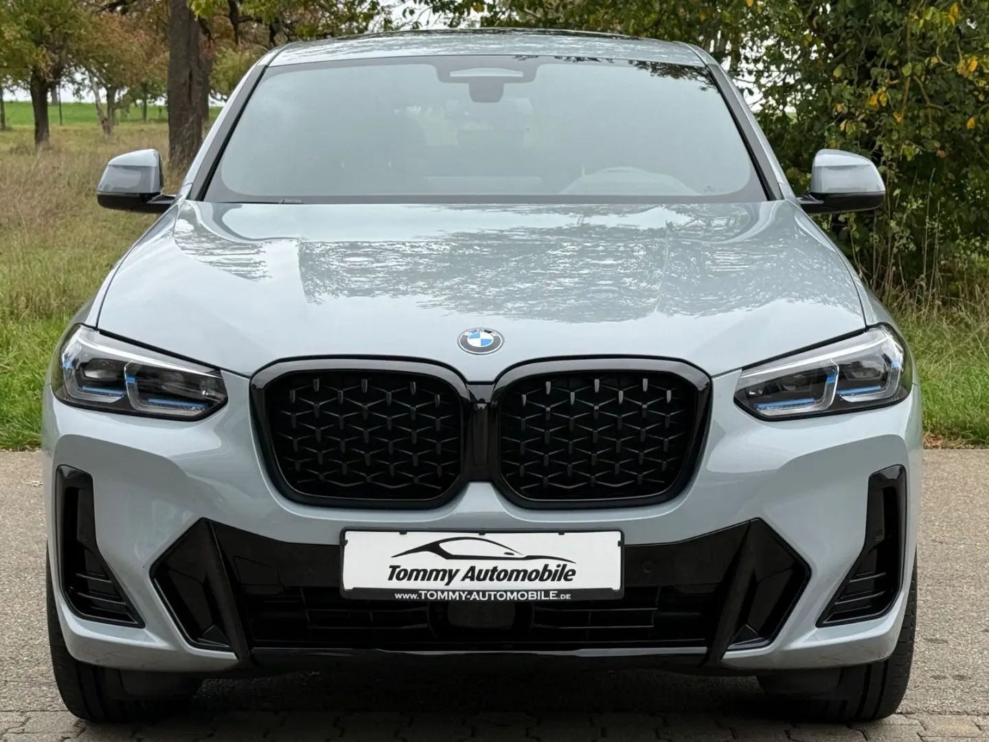 X4 xD 30 d M Sport Pro
