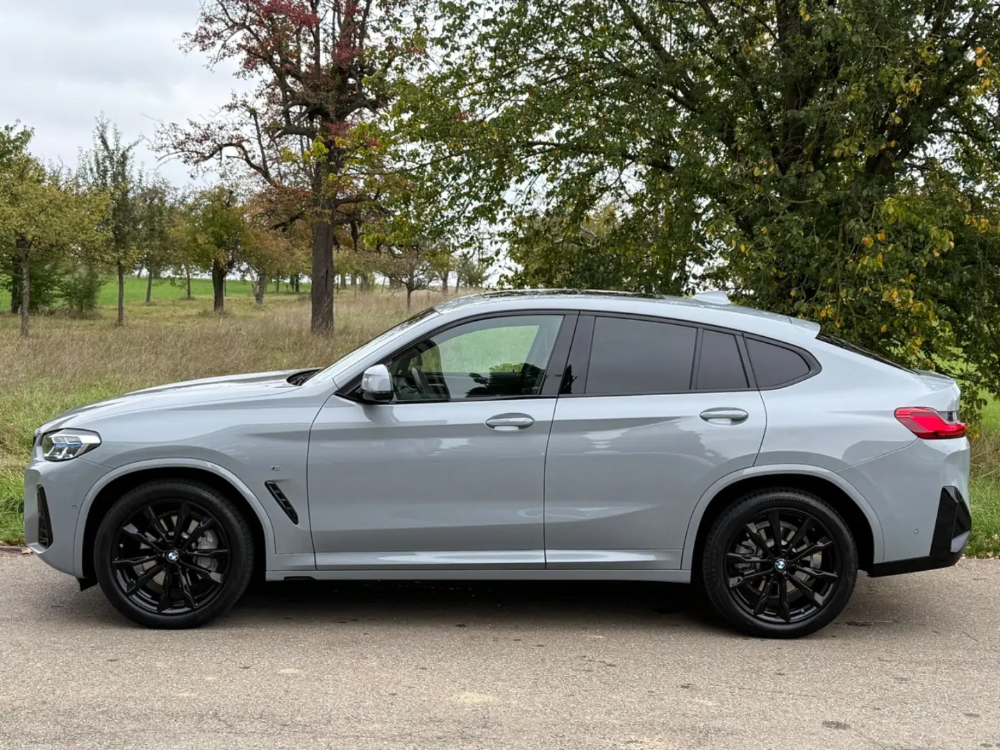 X4 xD 30 d M Sport Pro