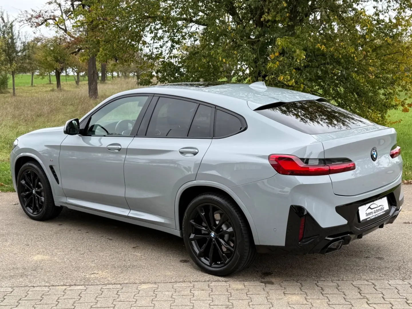 X4 xD 30 d M Sport Pro