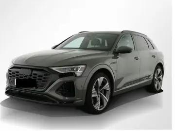 Audi Q8 50 S Linie Int Matrix AHK B&O Leder