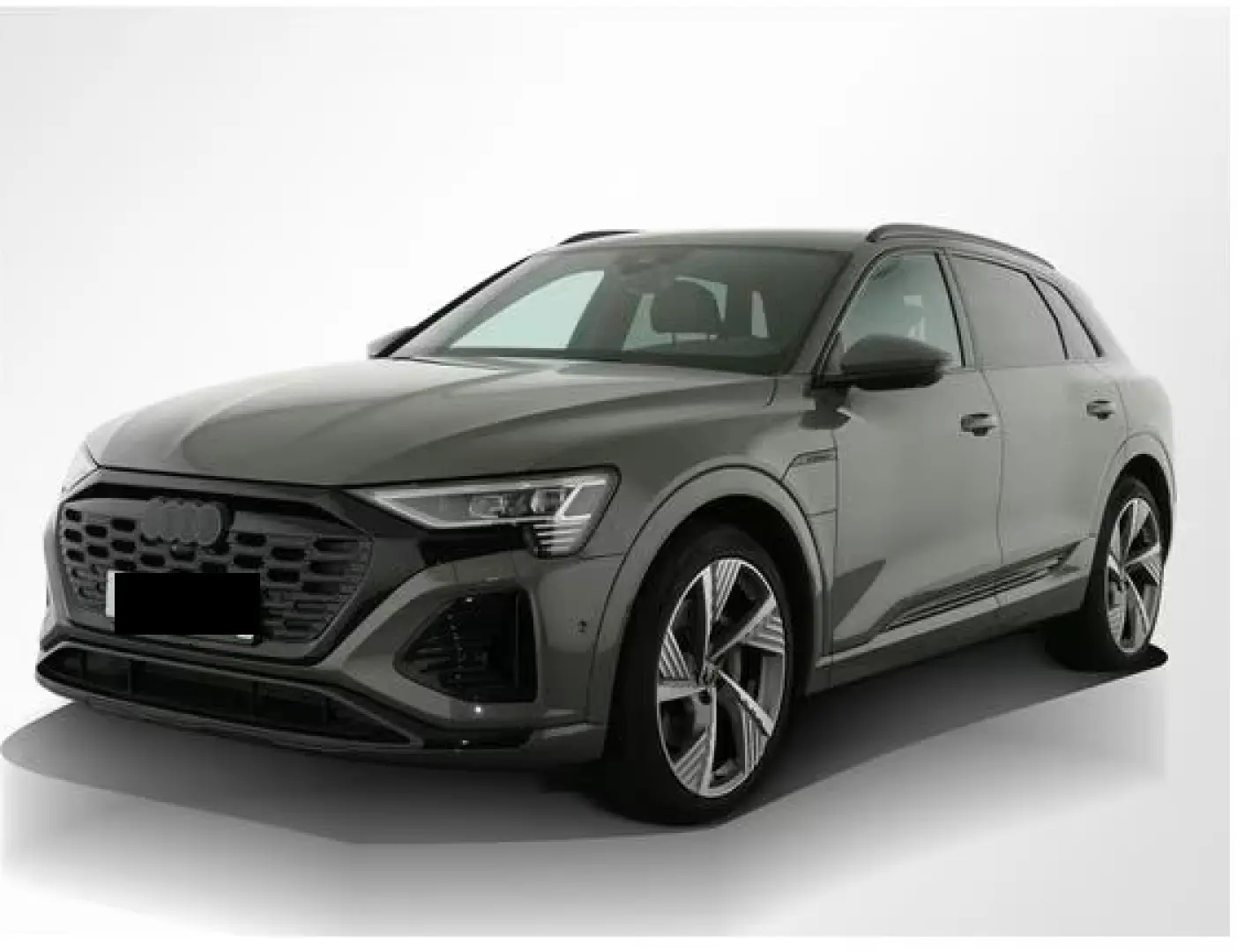 Audi Q8 50 S Linie Int Matrix AHK B&O Leder
