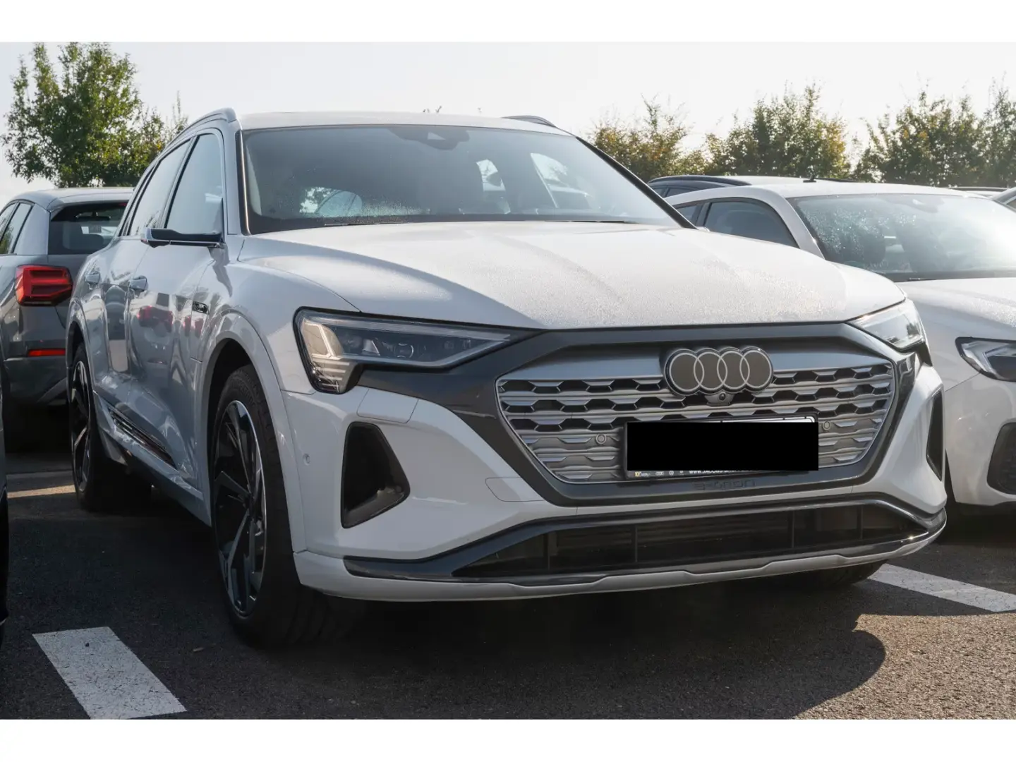 Audi Q8 55 quattro avansate Pano  HUD