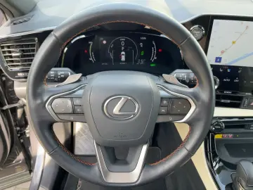 NX 450h  Luxury Line HUD Navi 4xSHZ KAM 360