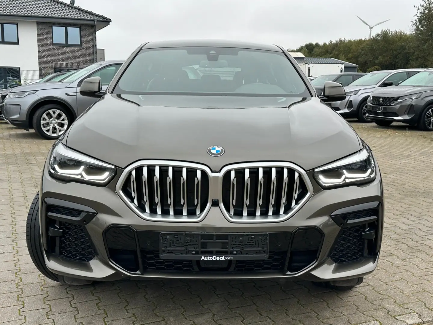 X6 30d xDrive M Sport Paket