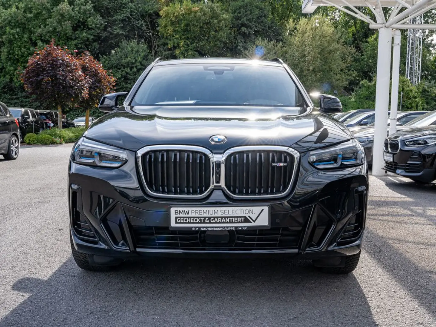 X3 40d xDrive PANO AHK STANDHZ 360  LASER HUD