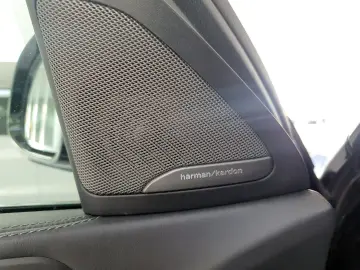 X6 30d M Sport