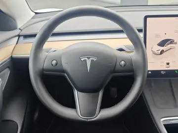 Model 3 RWD BASIS  Autopilot 360  Pano