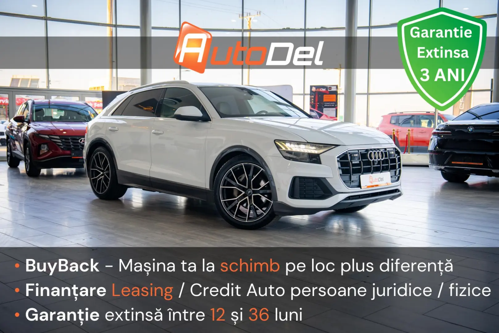 Audi Q8 50 TDI MildHybrid