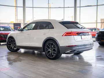 Audi Q8 50 TDI MildHybrid