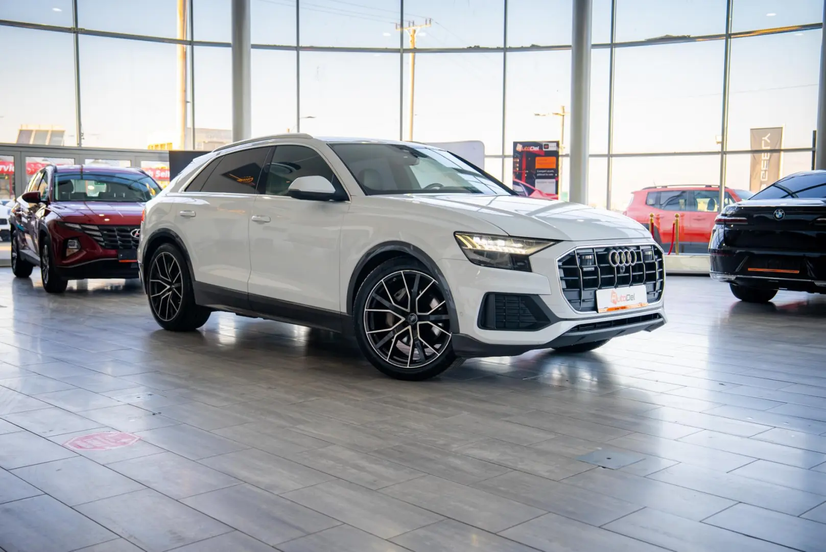 Audi Q8 50 TDI MildHybrid